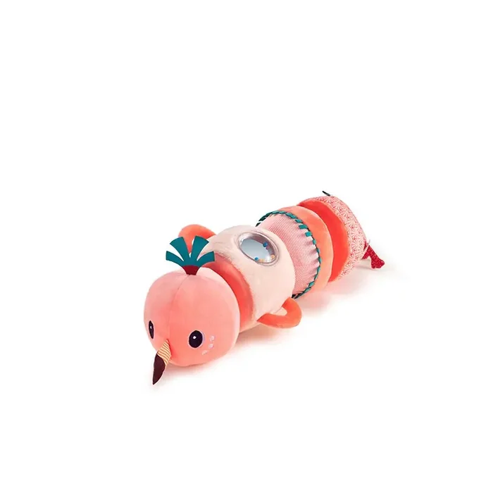 Anais multiactivades Lilliputiens