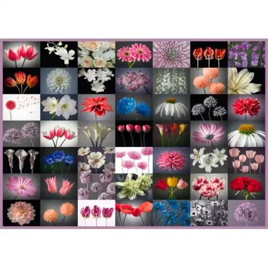 Puzzle Schmidt Mix de Flores de 2000 Piezas